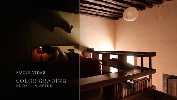 Nueve Vidas - Color Grading, Interactive Short Film