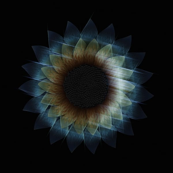 Birth of a Virtual Sunflower